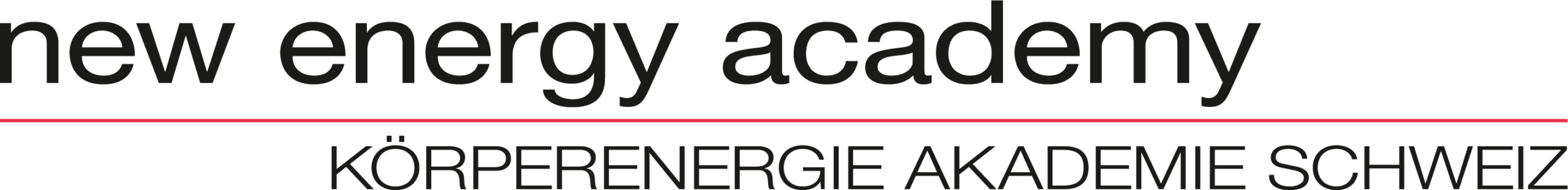New Energy Academy